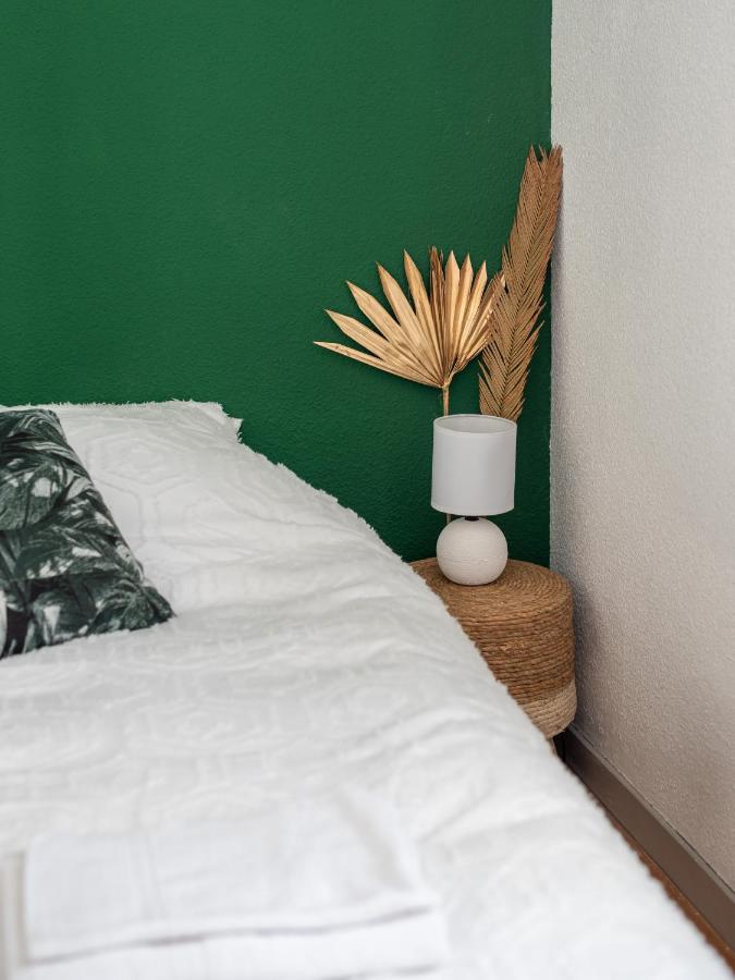 Bel Appartement Renove Γκρενόμπλ Εξωτερικό φωτογραφία
